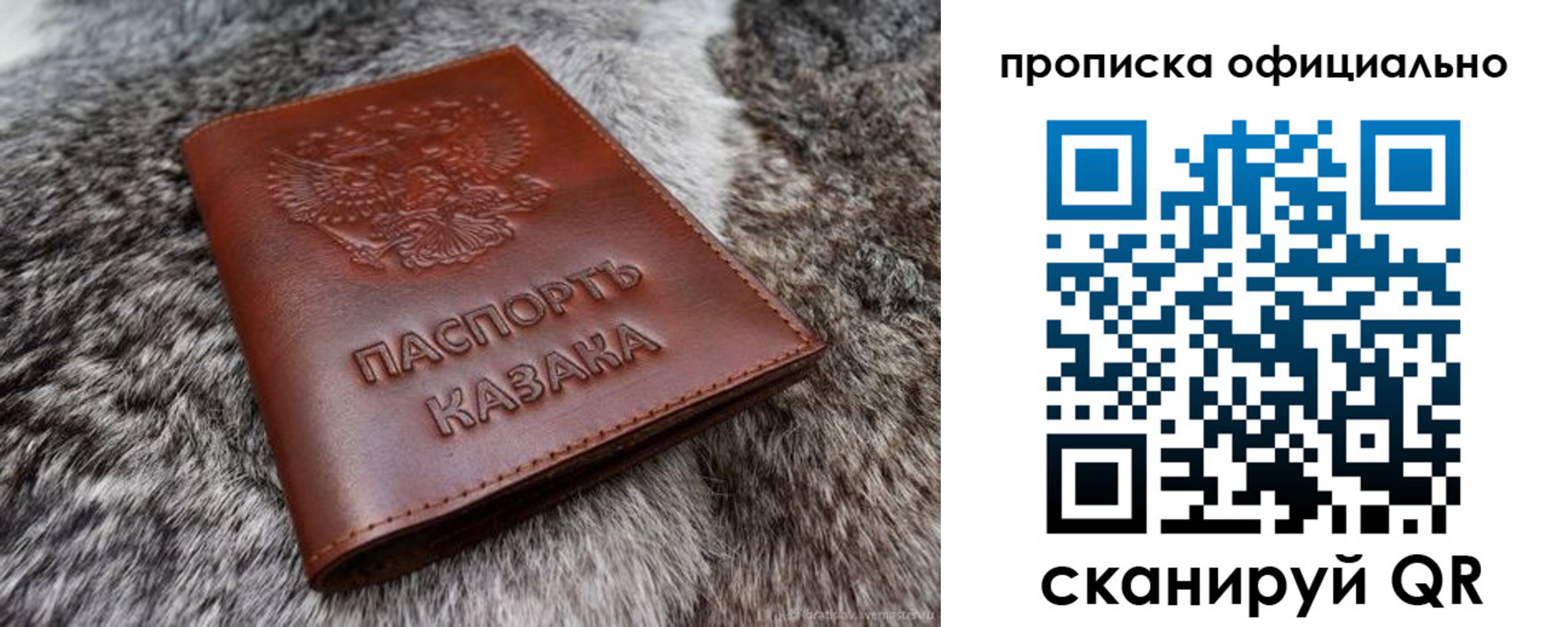 где прописаться в Дальнегорске